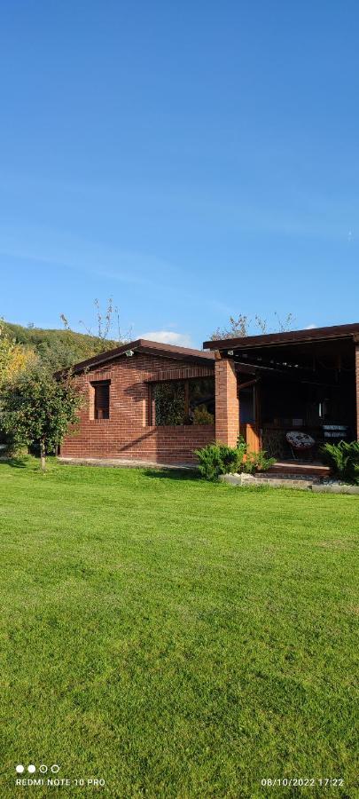View Cozia Villa Călimăneşti Exteriör bild