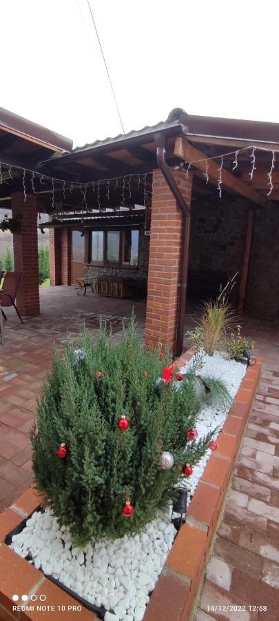 View Cozia Villa Călimăneşti Exteriör bild