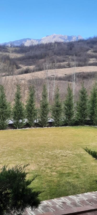 View Cozia Villa Călimăneşti Exteriör bild