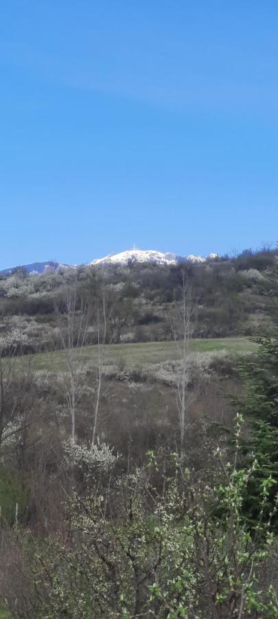 View Cozia Villa Călimăneşti Exteriör bild